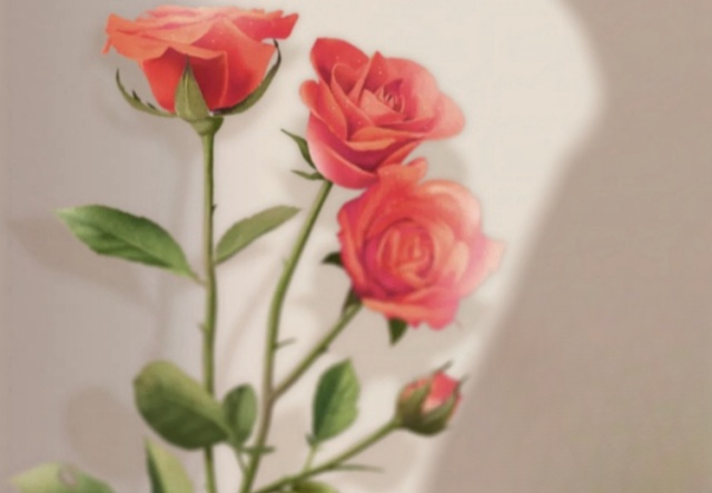 祝天下女神們節(jié)日快樂！??！